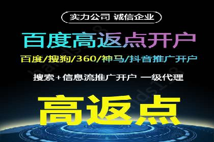 案例分享：SEM推广助力电商快速崛起